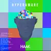 Haak - Hyperaware - Single
